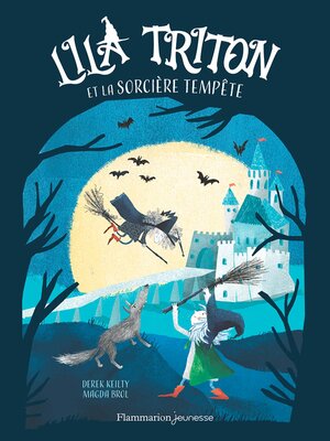 cover image of Lila Triton et la Sorcière Tempête
